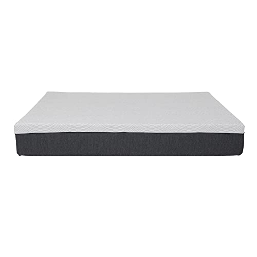 Sealy Essentials 12" Memory Foam Bed in Box, King