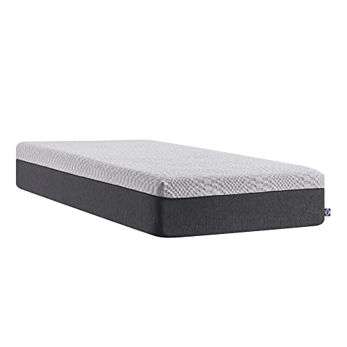 Sealy Essentials 12" Memory Foam Bed in Box, King