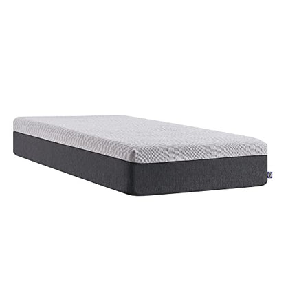 Sealy Essentials 12" Memory Foam Bed in Box, King